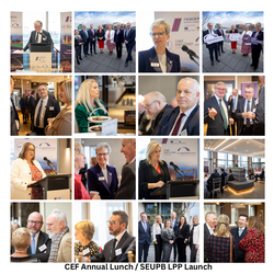 Thumb cef anual lunch  lpp launch dec 25 collage